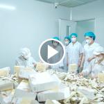 Tham quan nhà máy sản xuất sữa hạt kiềm Lupacell Nutri